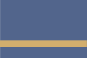 Laserables Gold Coast - Navy Blue/Bright Gold 2-ply